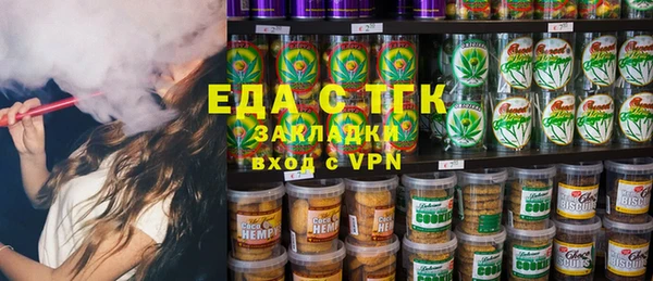 индика Бронницы