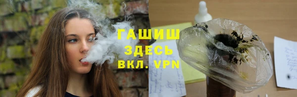 индика Бронницы