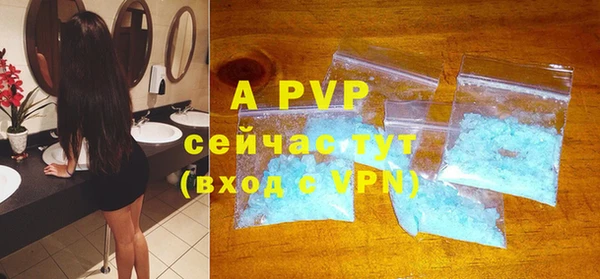 индика Бронницы