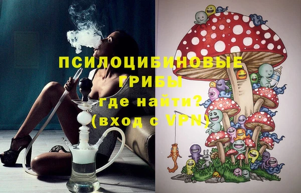 индика Бронницы