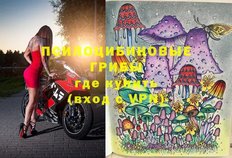 shop официальный сайт  Будённовск  Галлюциногенные грибы Magic Shrooms  что такое  